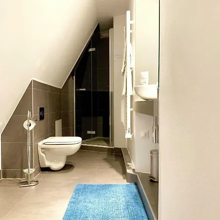 Du Renard * Strasbourg