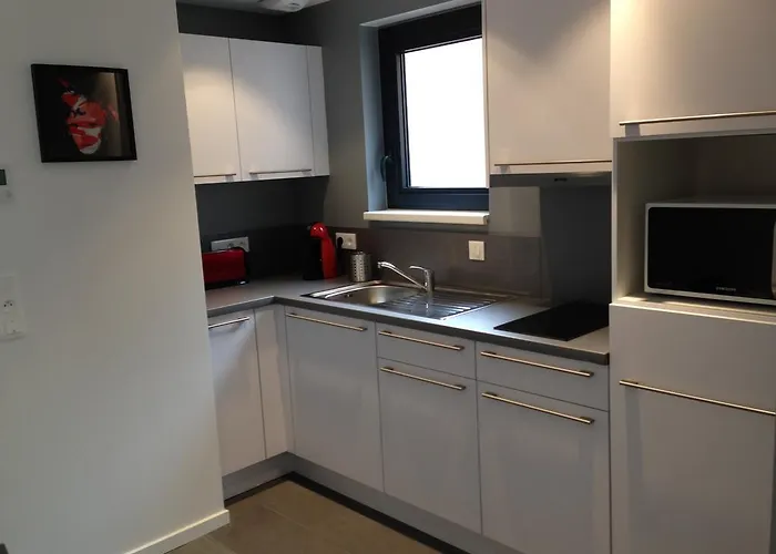 Апартаменты Du Renard